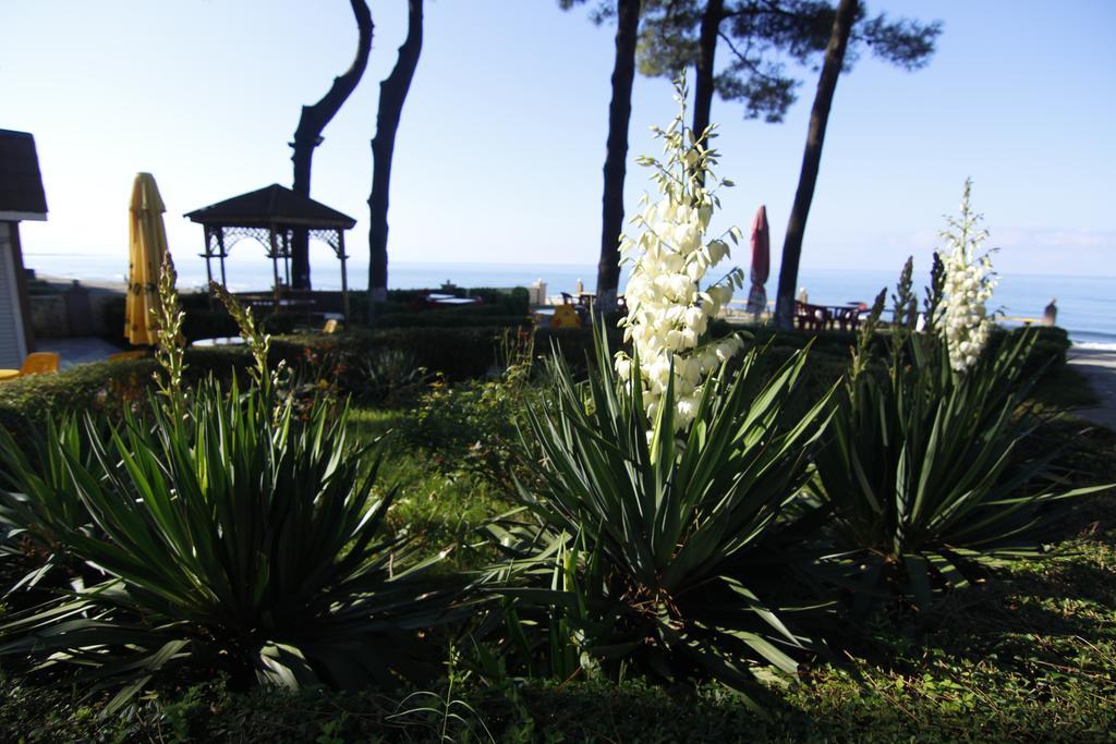 Villa Reta Hotel & Spa Grigoleti Kültér fotó